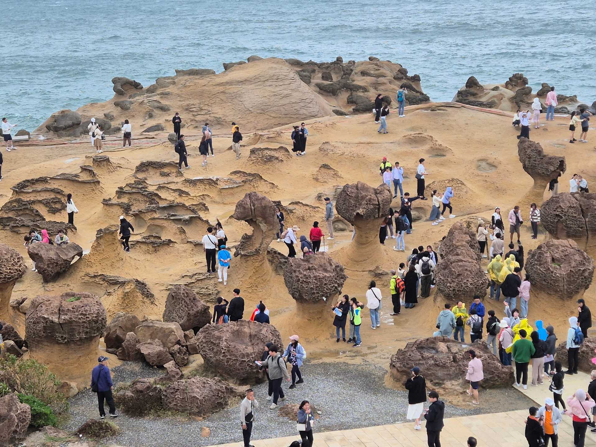 스케쥴 사진